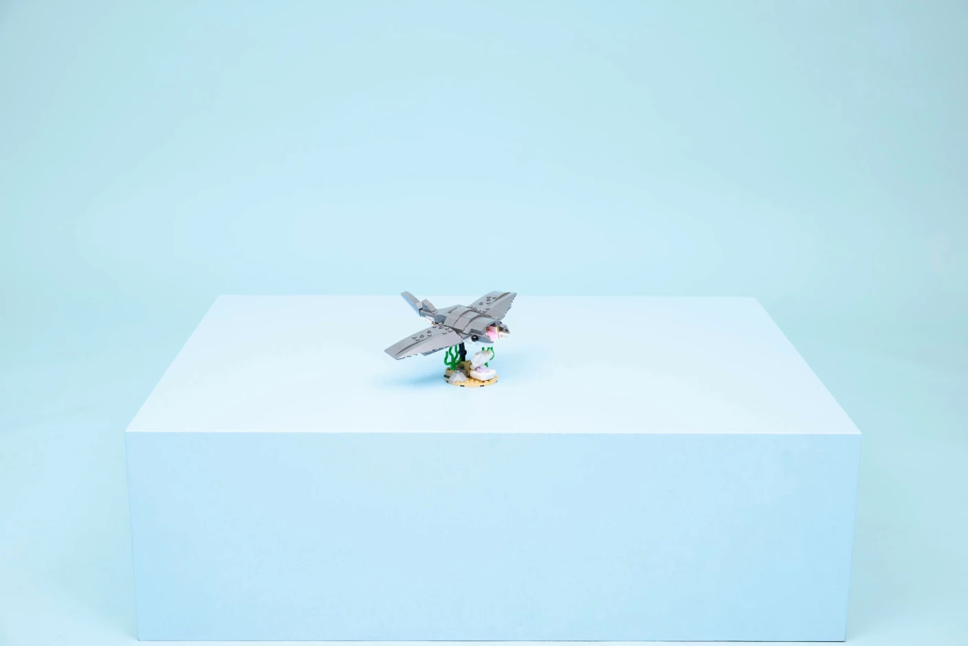 Woeste haai met schatkist