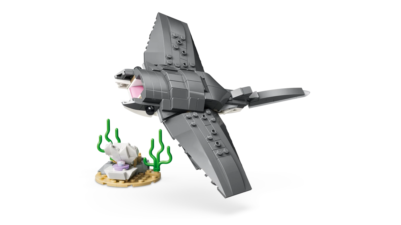 Woeste haai met schatkist