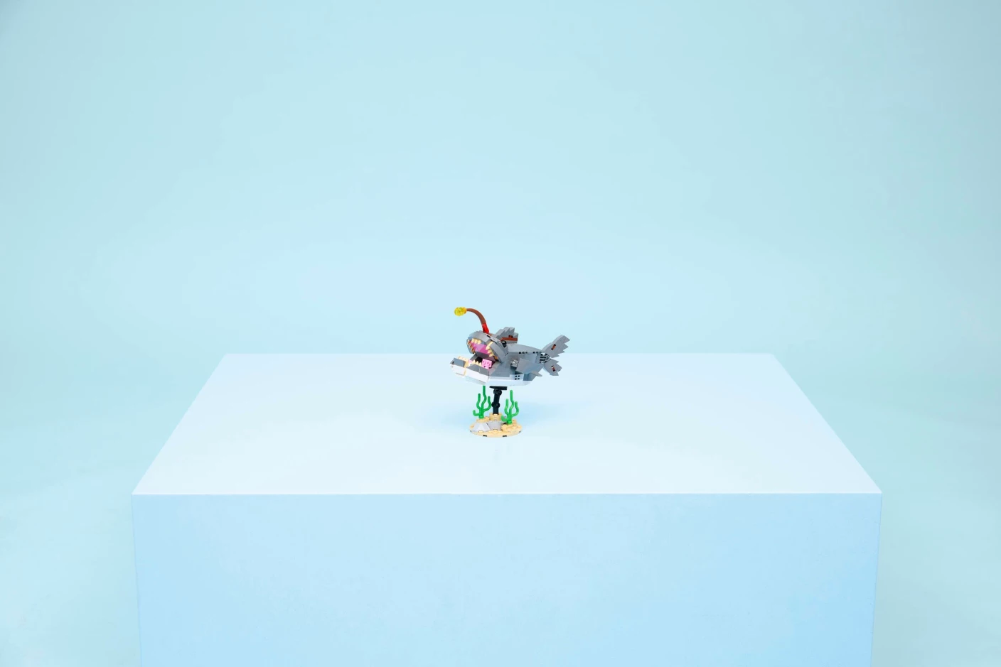 Woeste haai met schatkist