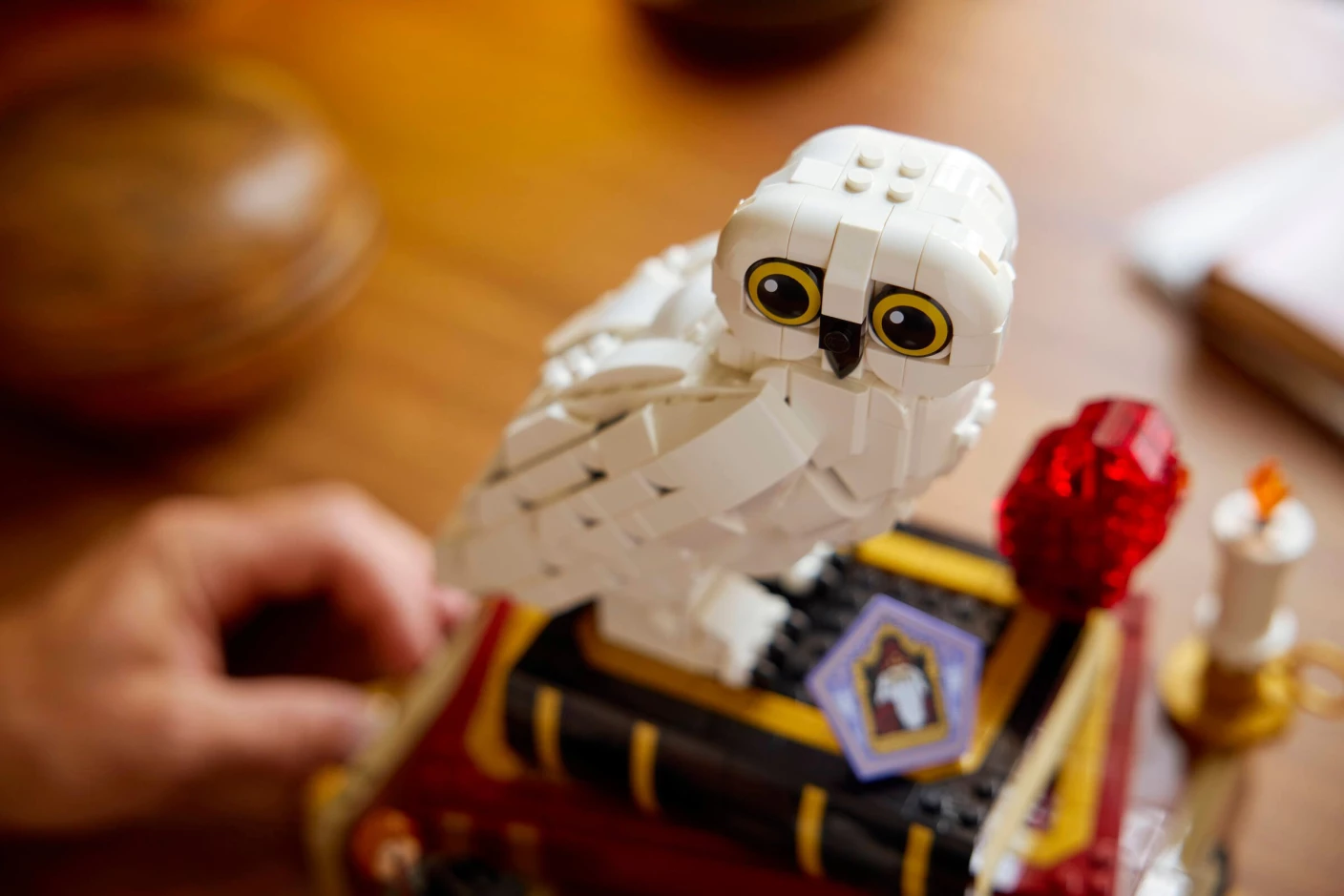 Steen der Wijzen - Verzameleditie