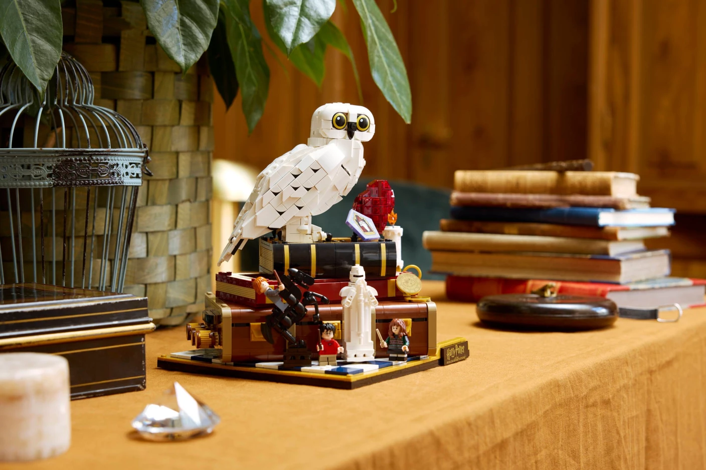 Steen der Wijzen - Verzameleditie