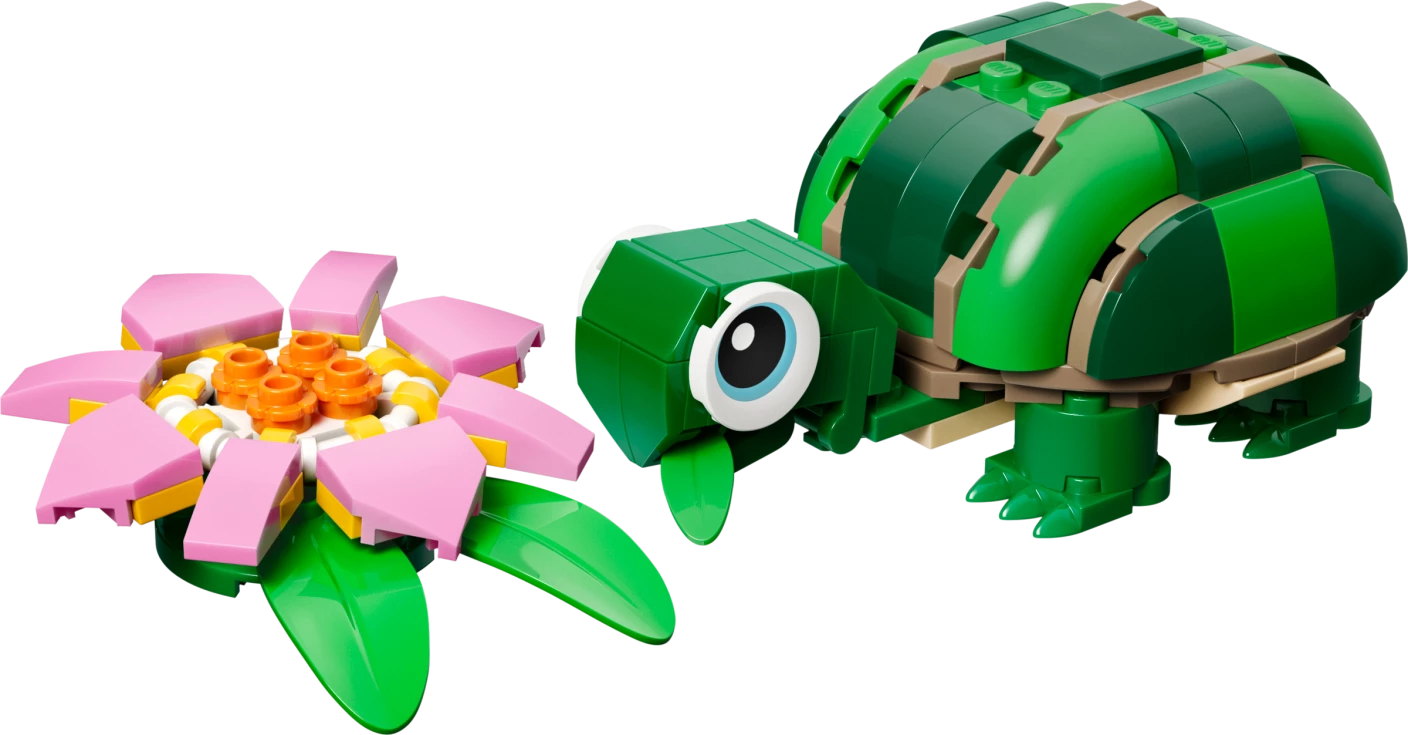 Schildpad met waterlelie