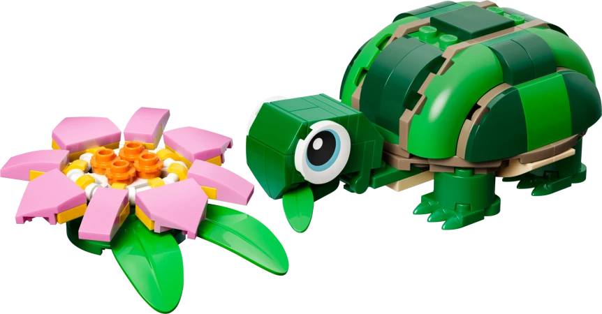 Schildpad met waterlelie