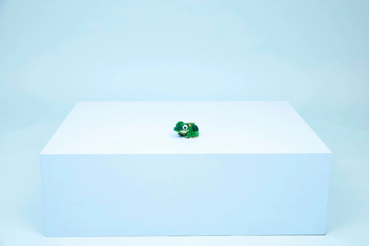 Schildpad met waterlelie