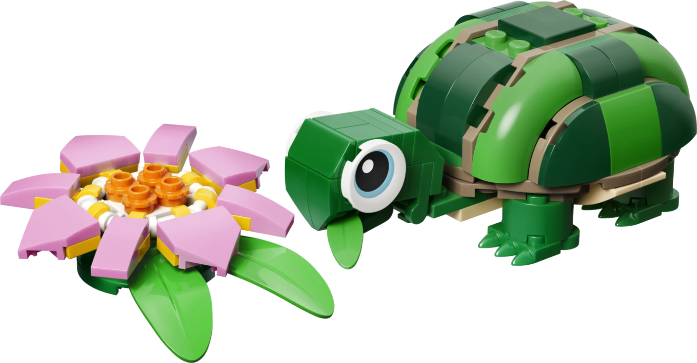 Schildpad met waterlelie