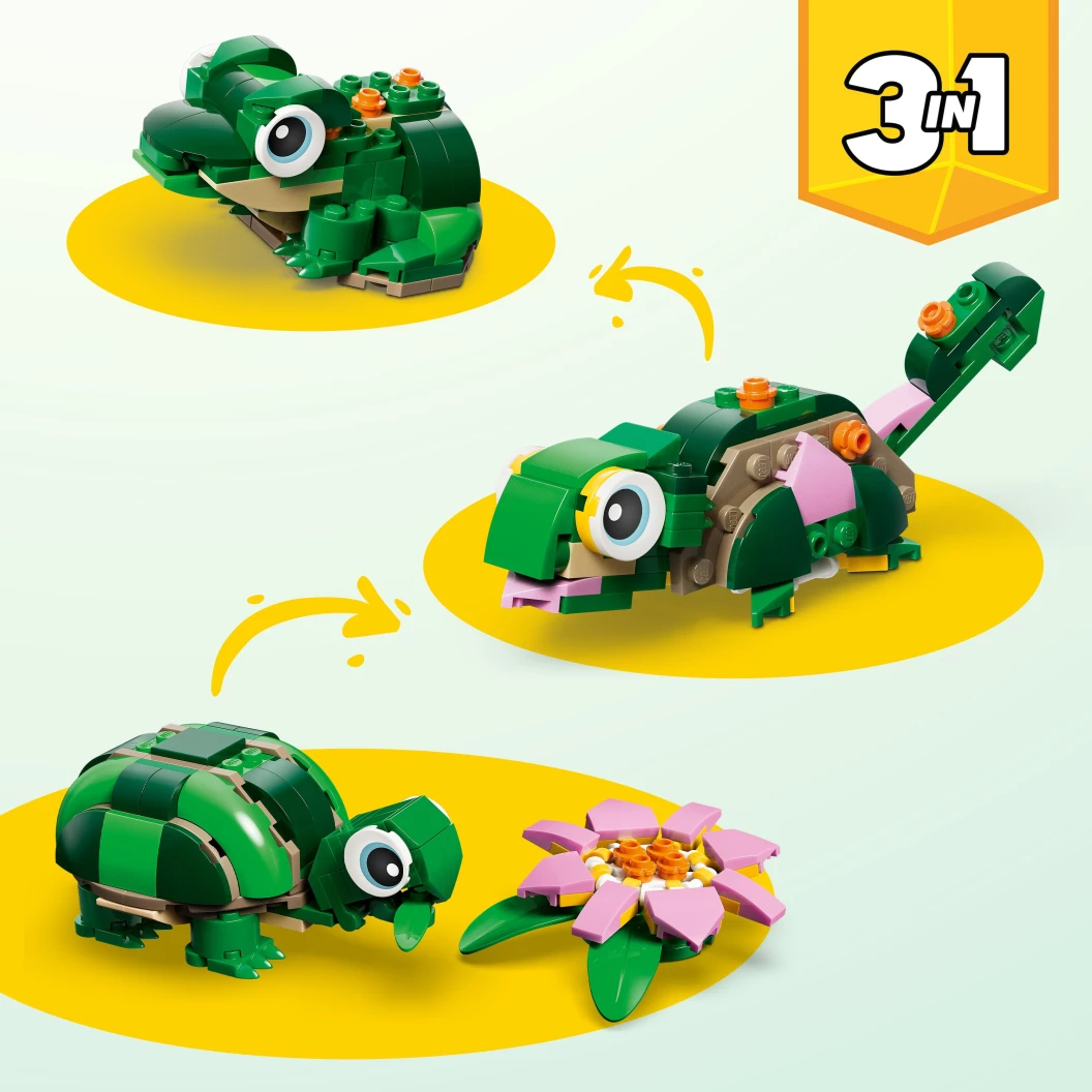 Schildpad met waterlelie