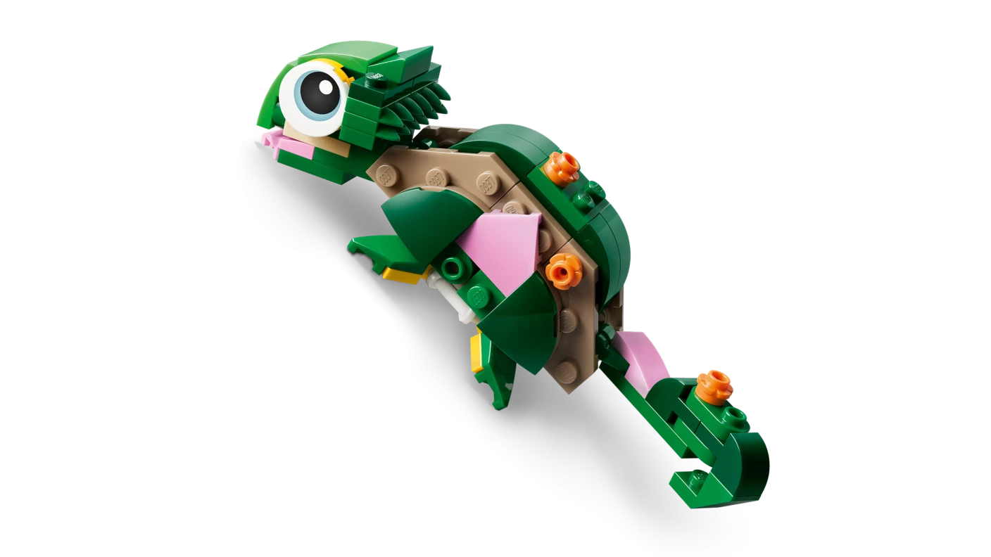 Schildpad met waterlelie