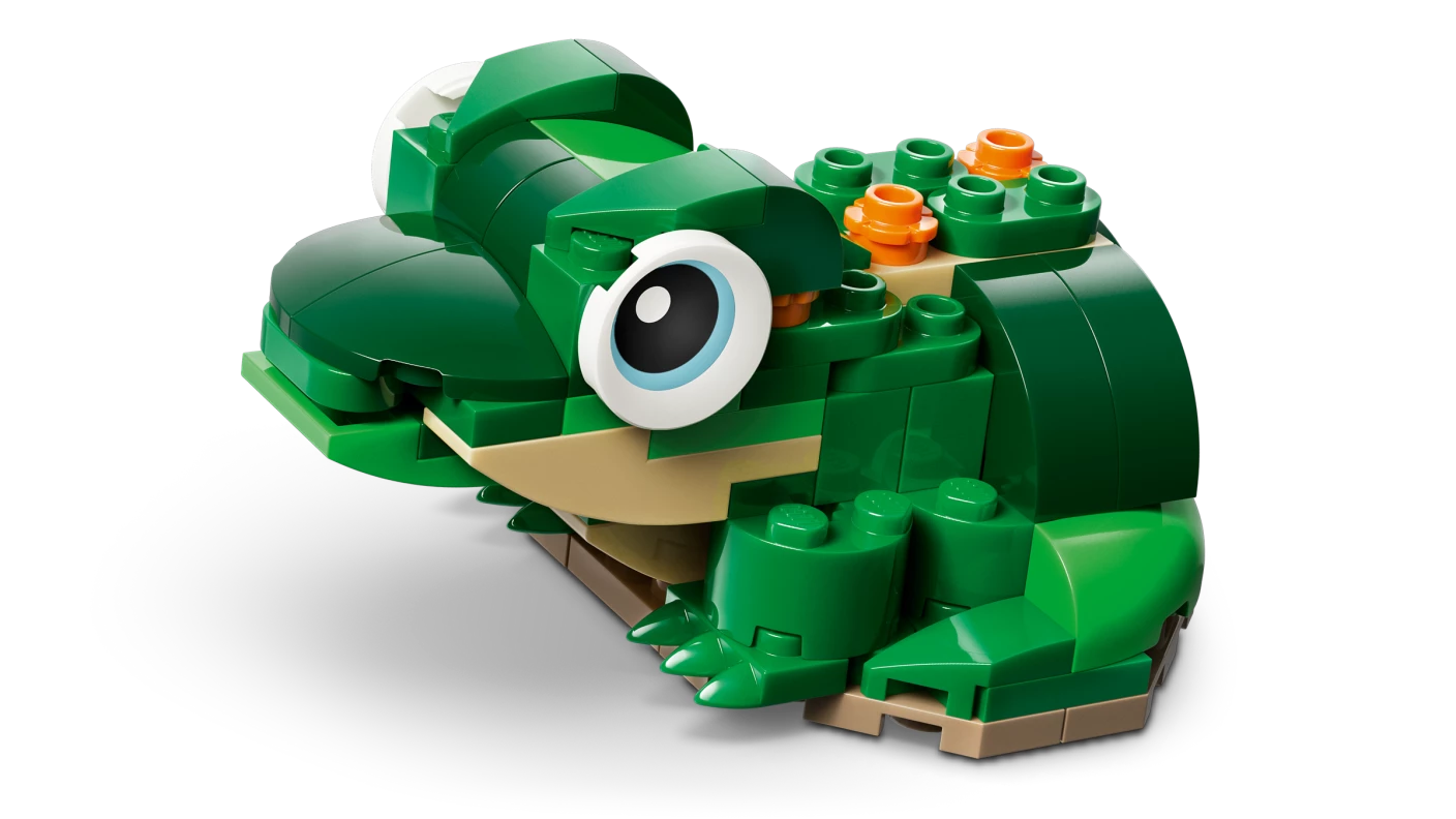 Schildpad met waterlelie