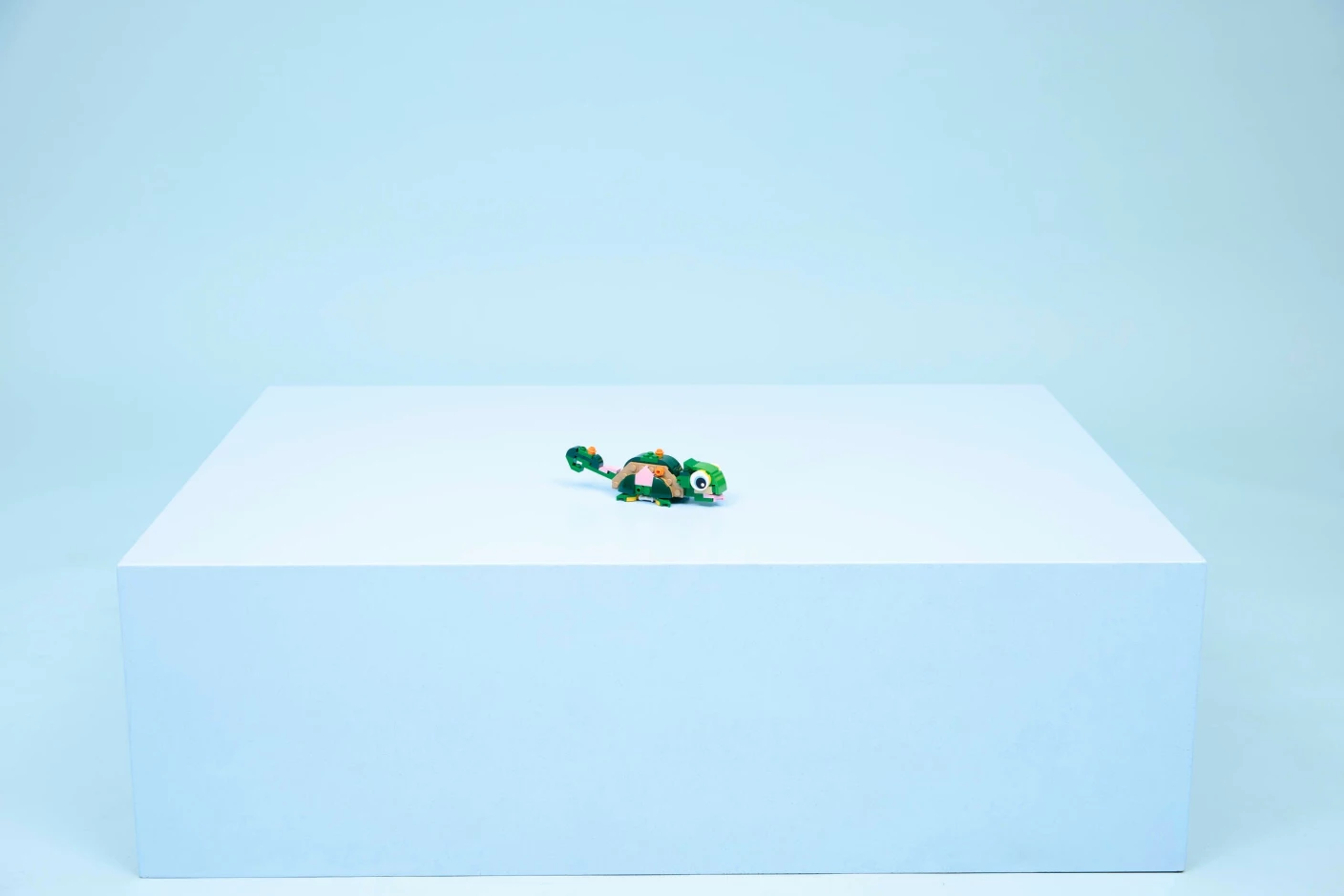 Schildpad met waterlelie