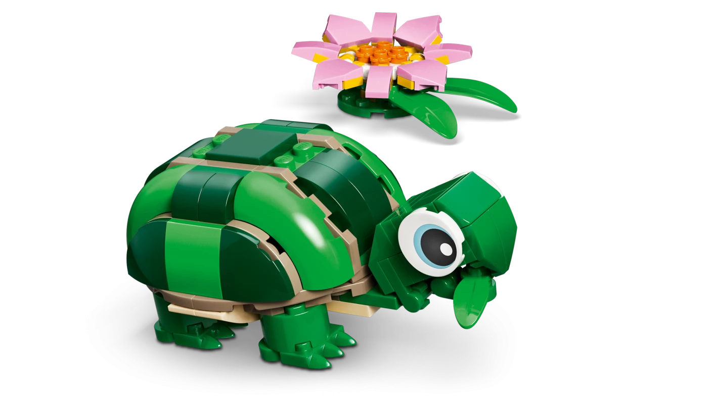 Schildpad met waterlelie