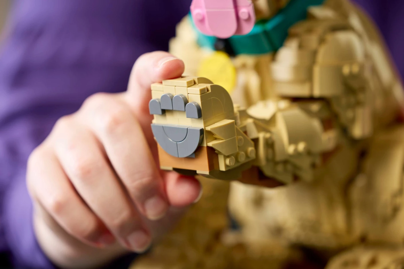 Golden retriever puppy