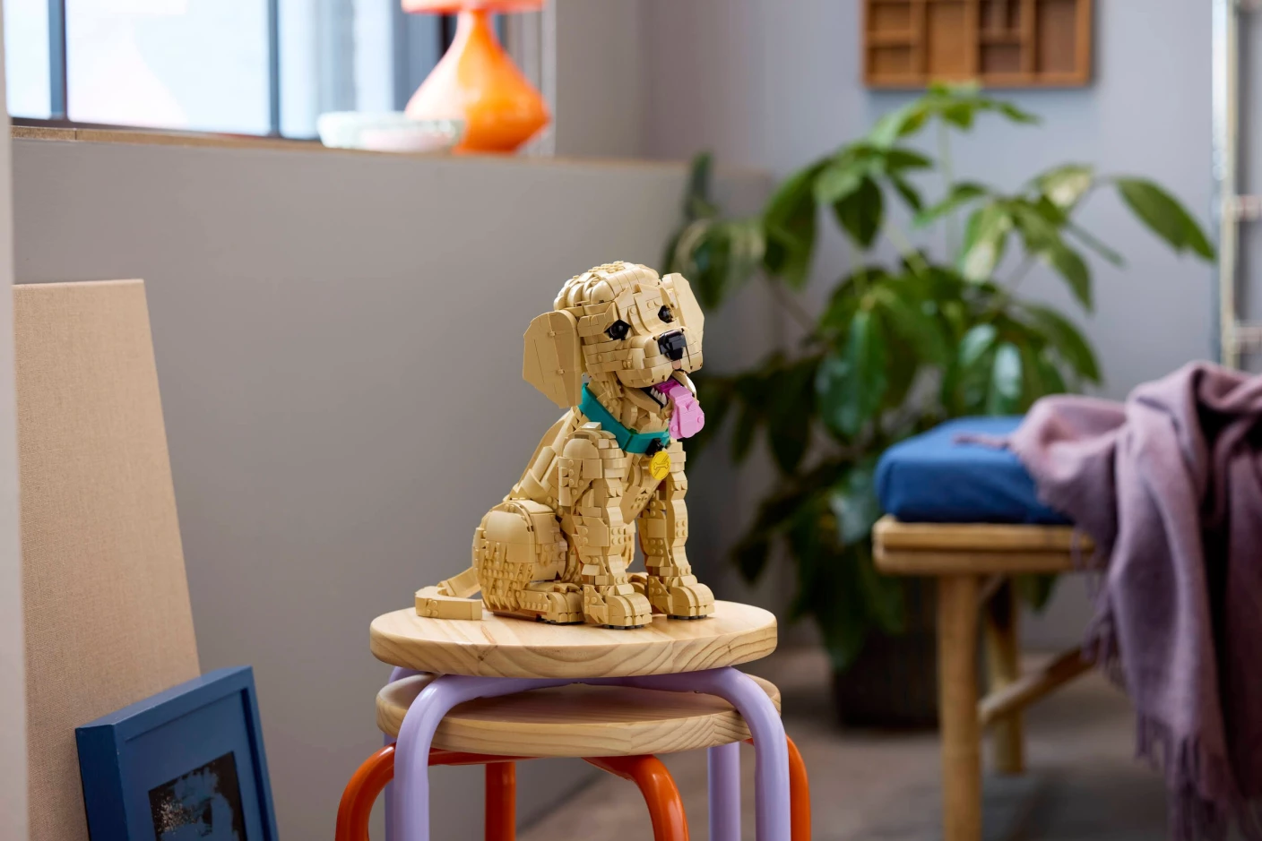 Golden retriever puppy