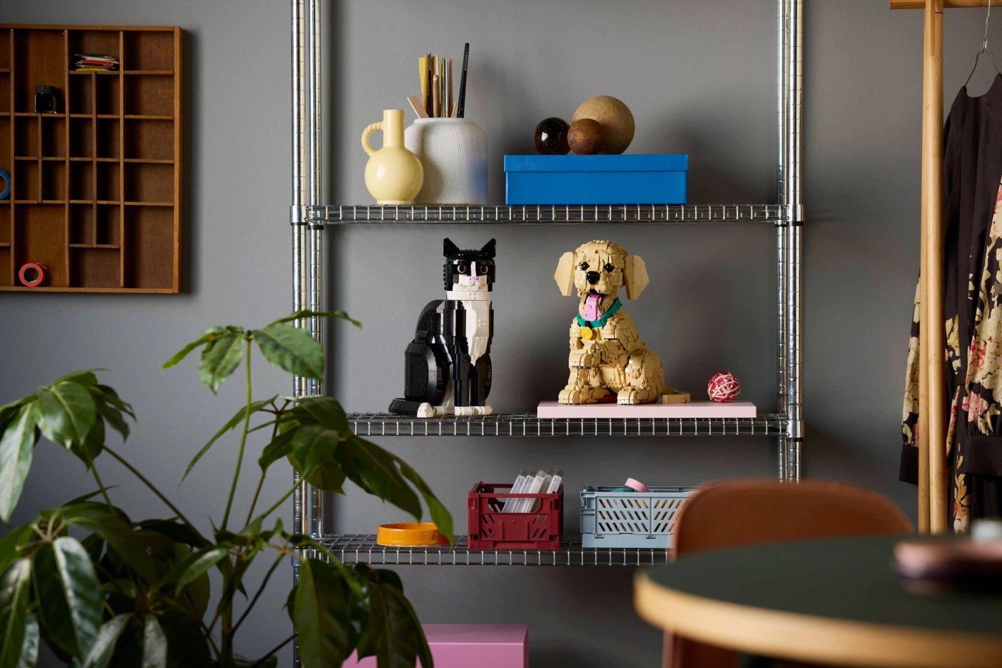 Golden retriever puppy