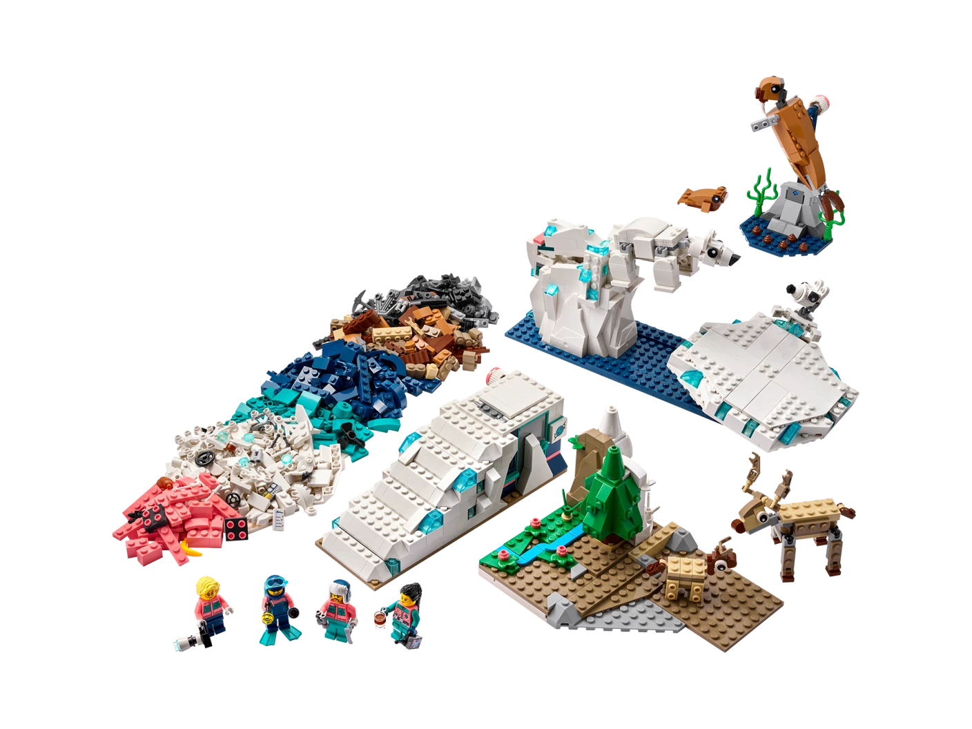 Natuurwetenschap en Techniek Dieren op de Noordpool