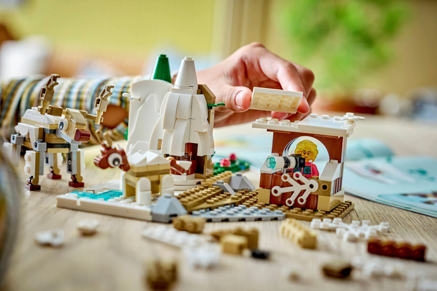 Natuurwetenschap en Techniek Dieren op de Noordpool