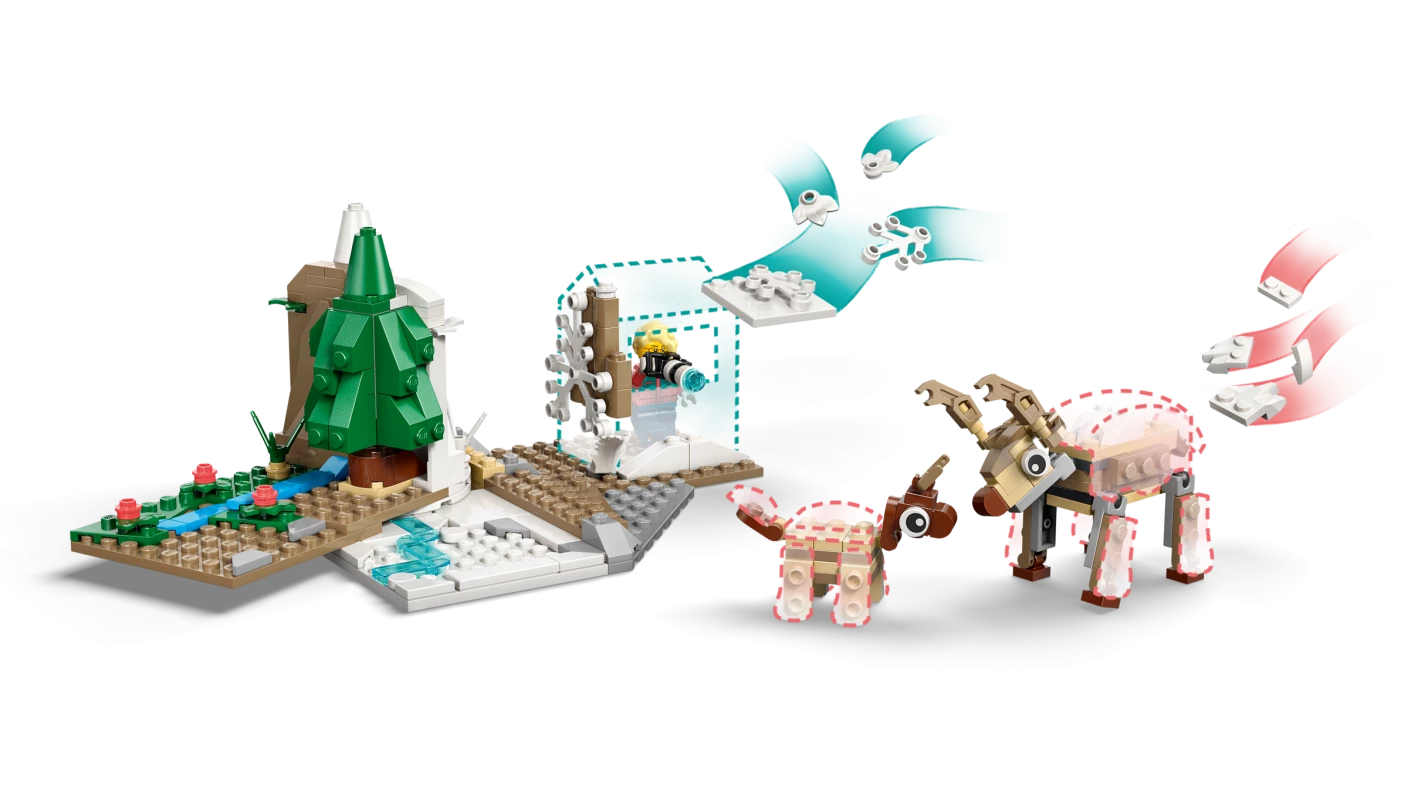 Natuurwetenschap en Techniek Dieren op de Noordpool