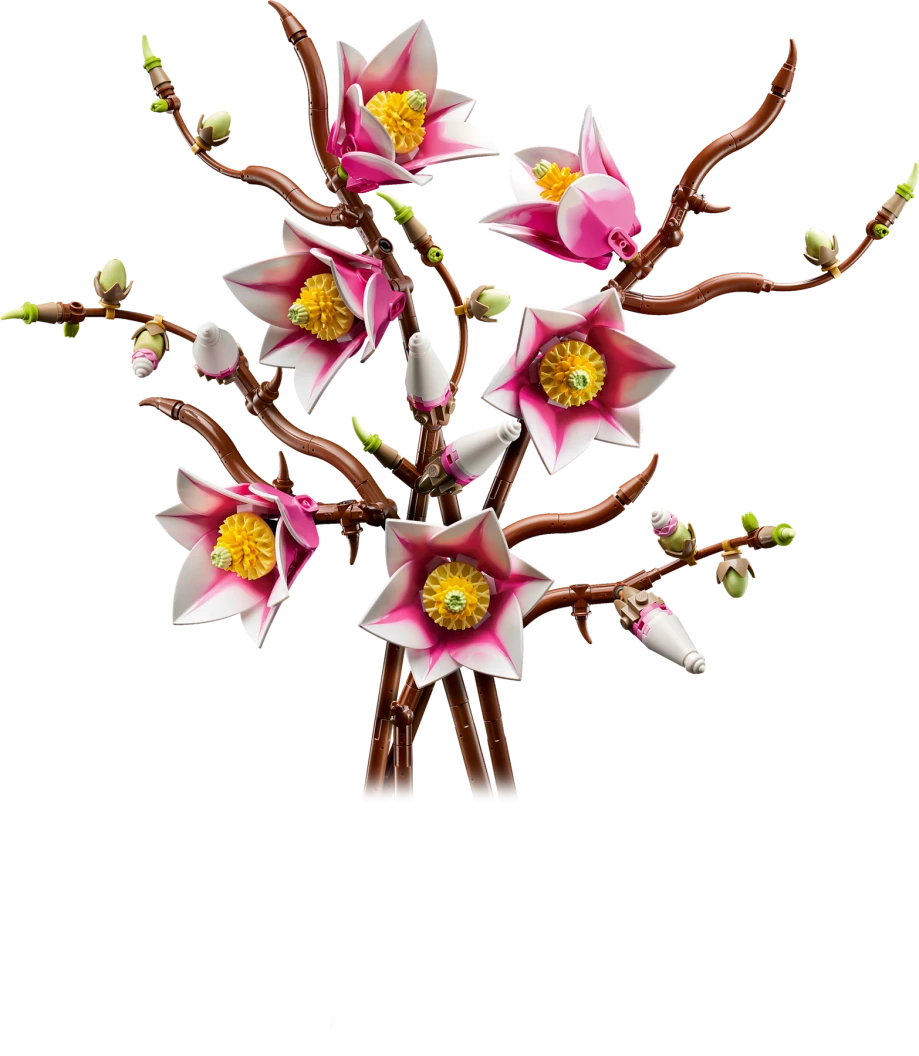 Magnoliatakken