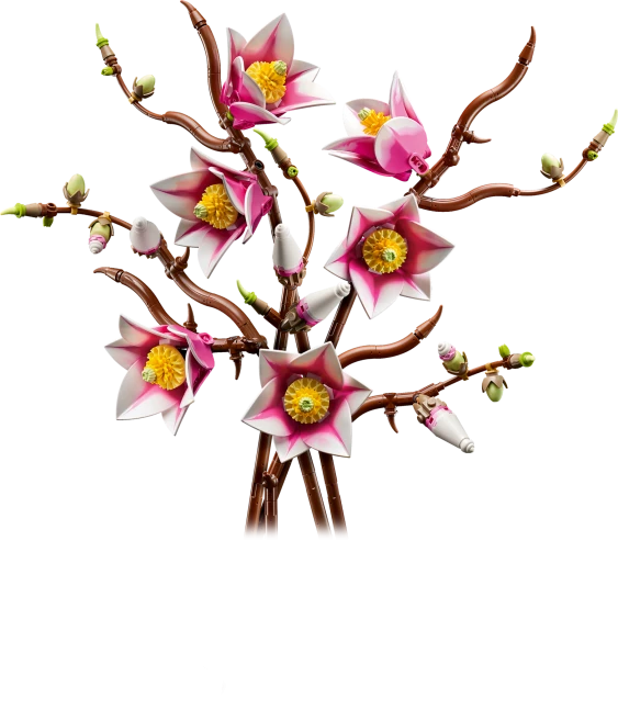 Magnoliatakken