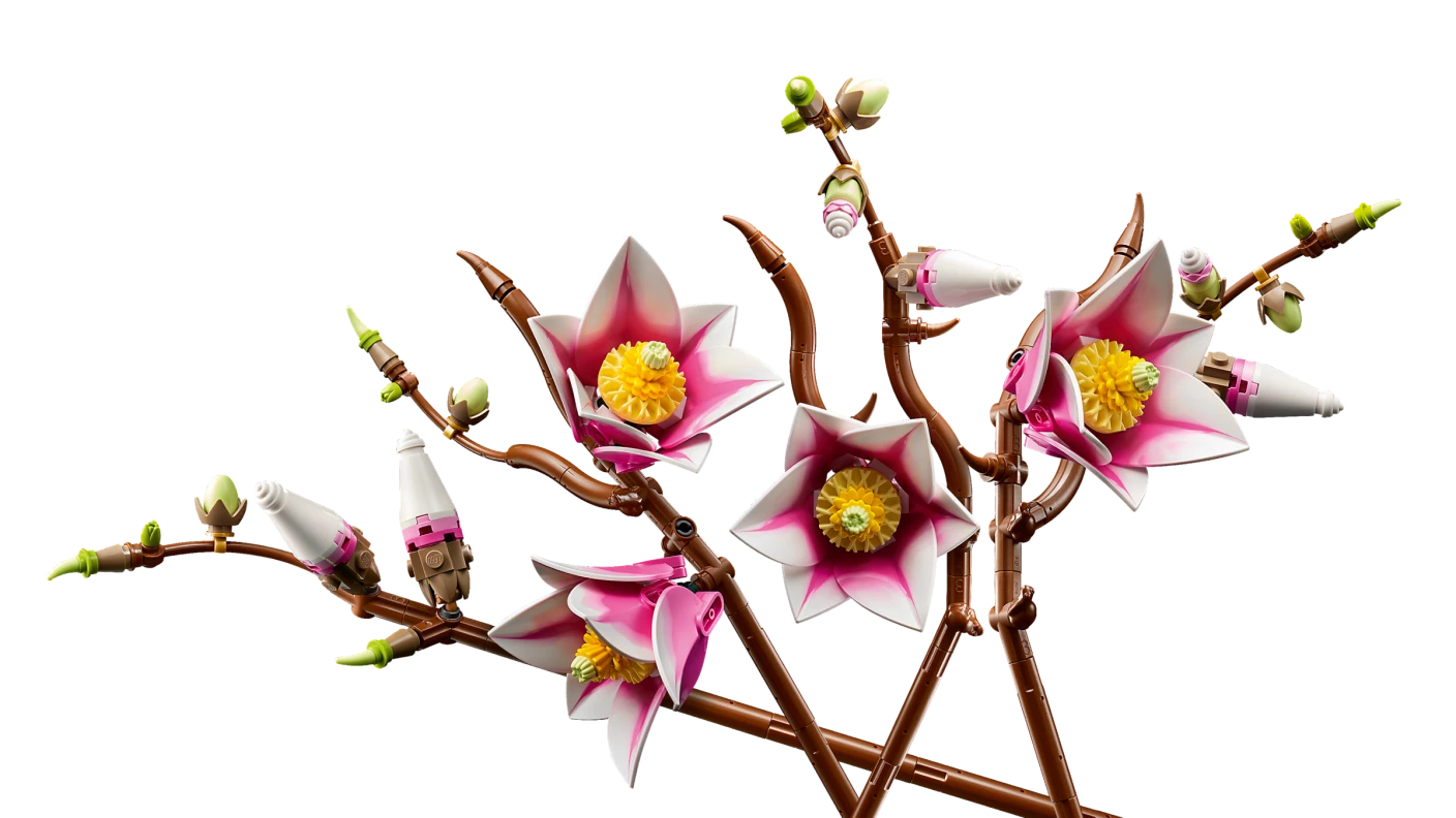 Magnoliatakken