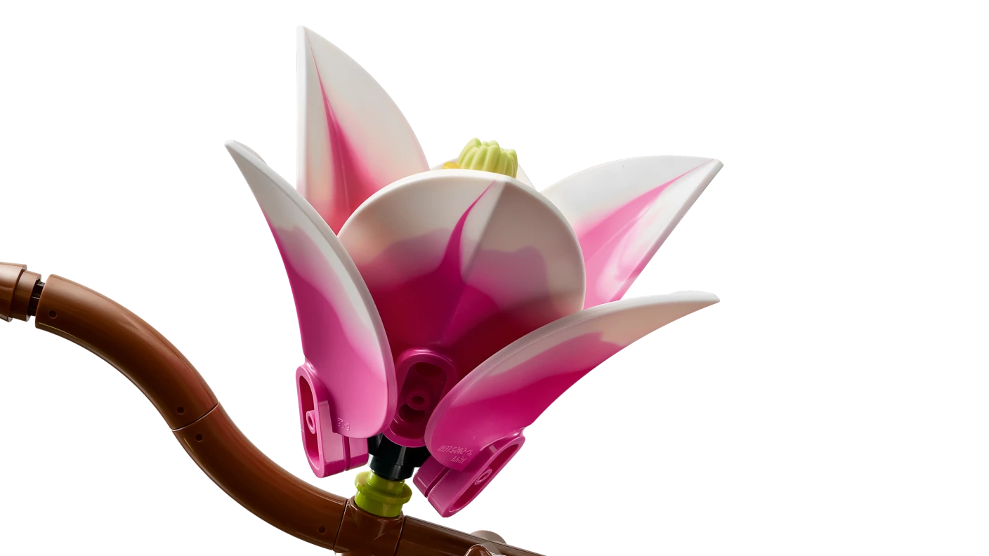 Magnoliatakken