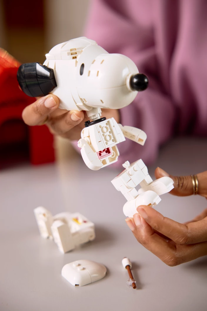 Peanuts: Snoopy's hondenhok