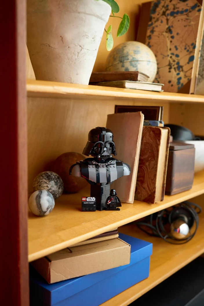 Darth Vader buste