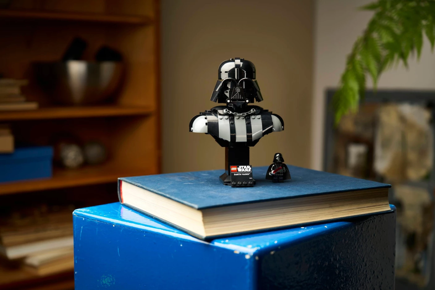 Darth Vader buste