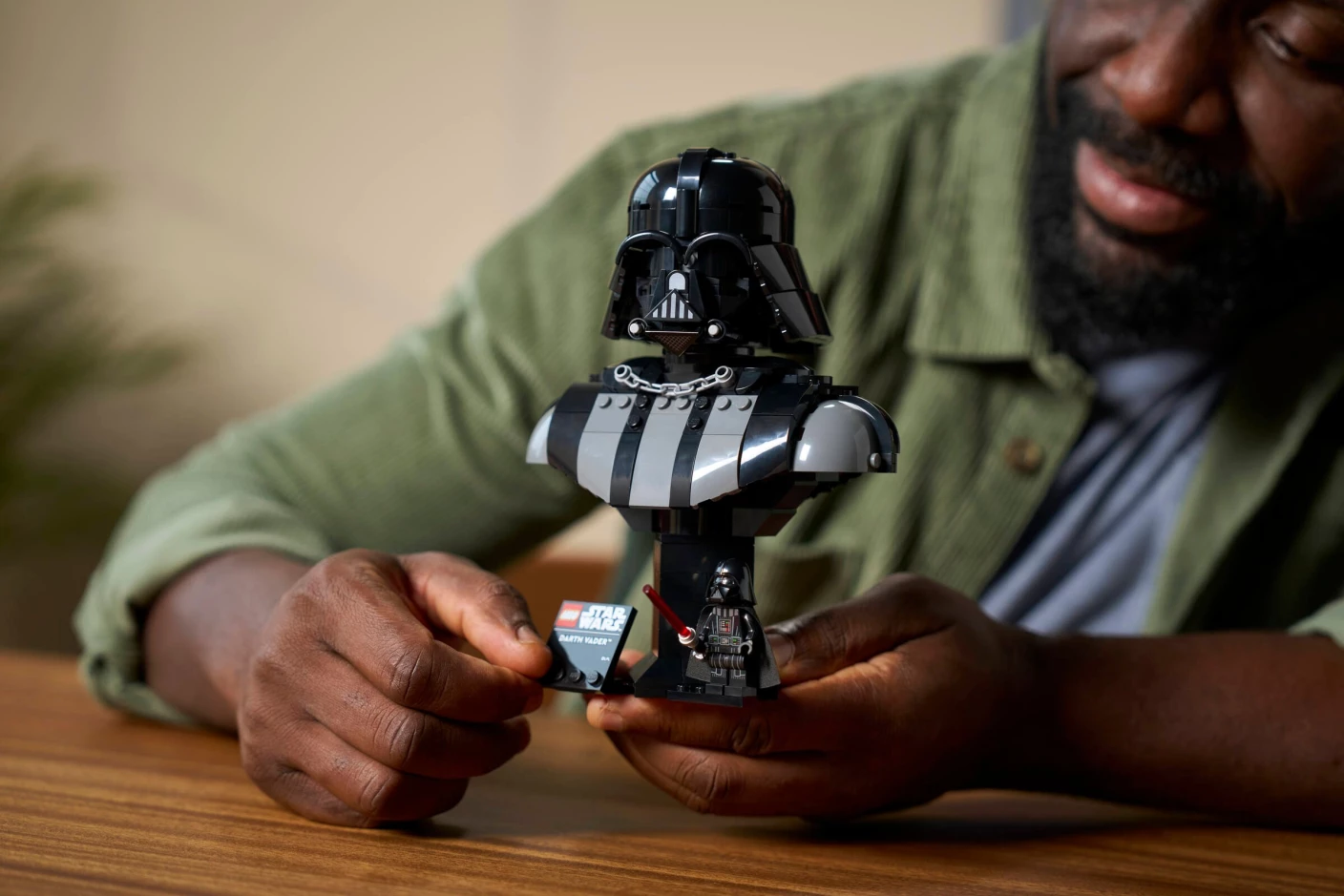 Darth Vader buste