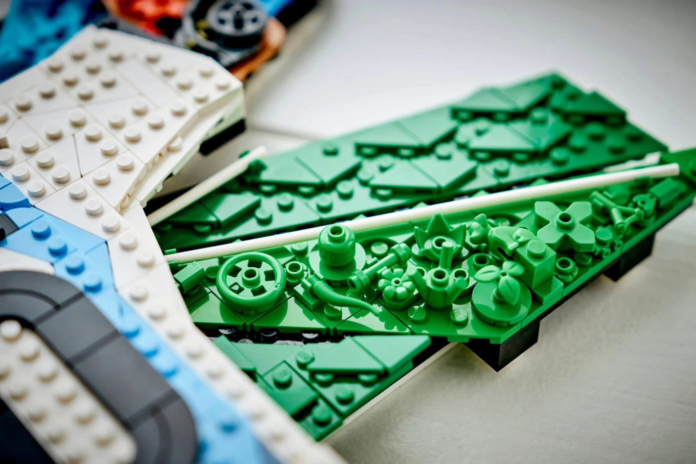 Lionel Messi - Viering