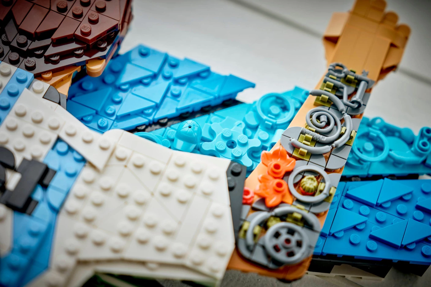 Lionel Messi - Viering