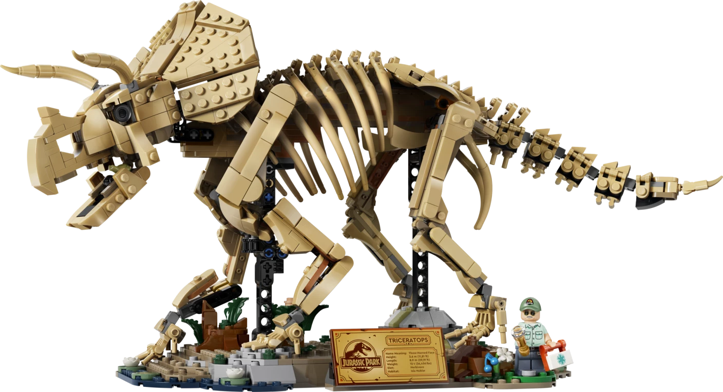 Dinosaurusfossielen: Triceratops