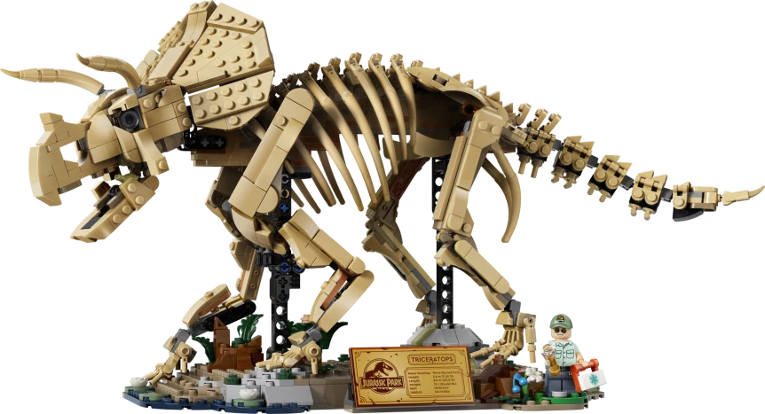 Dinosaurusfossielen: Triceratops