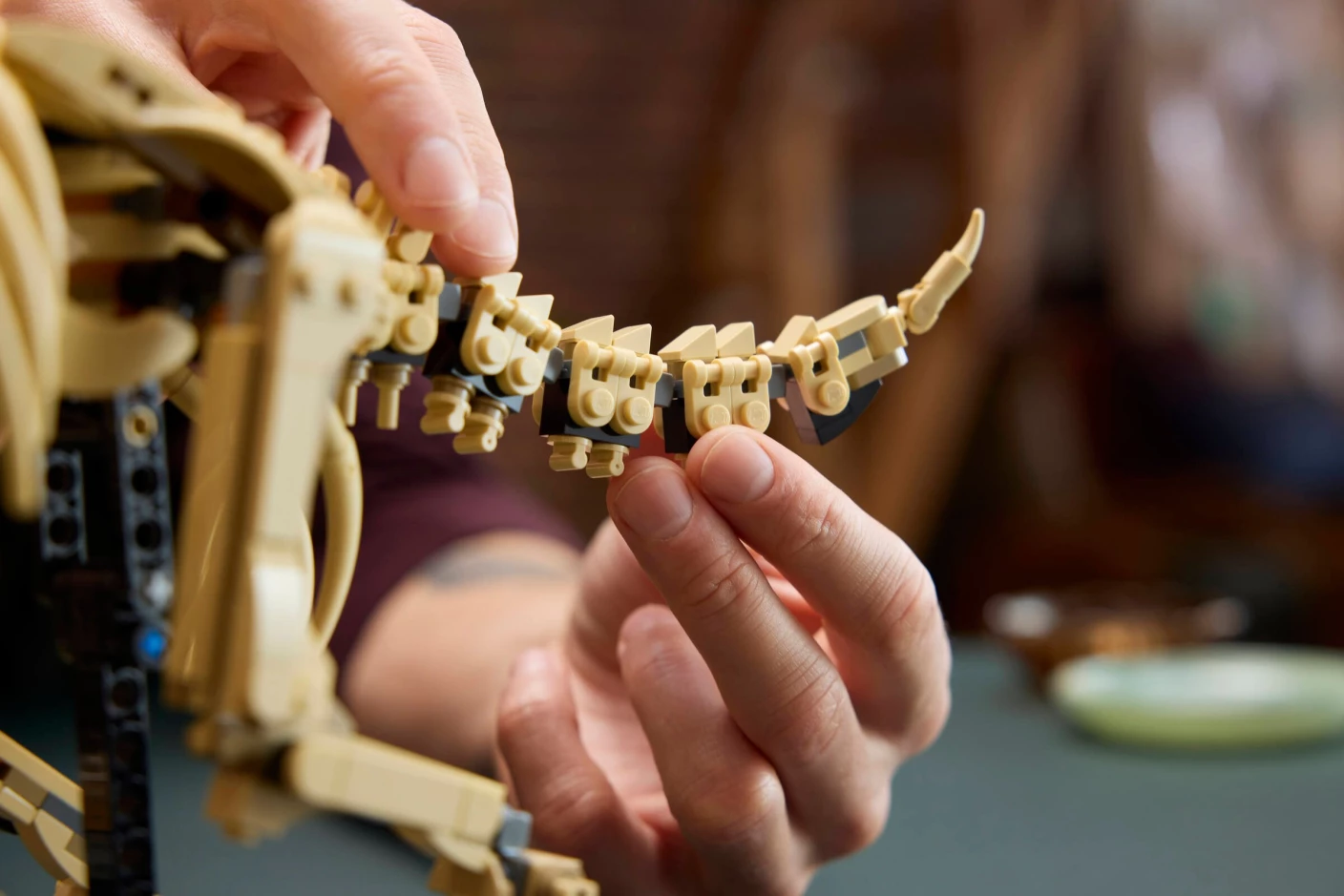 Dinosaurusfossielen: Triceratops