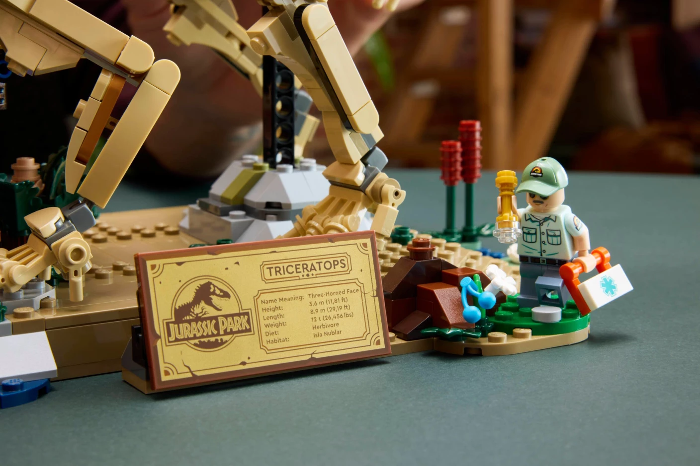 Dinosaurusfossielen: Triceratops