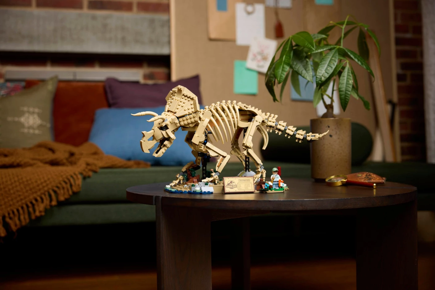 Dinosaurusfossielen: Triceratops