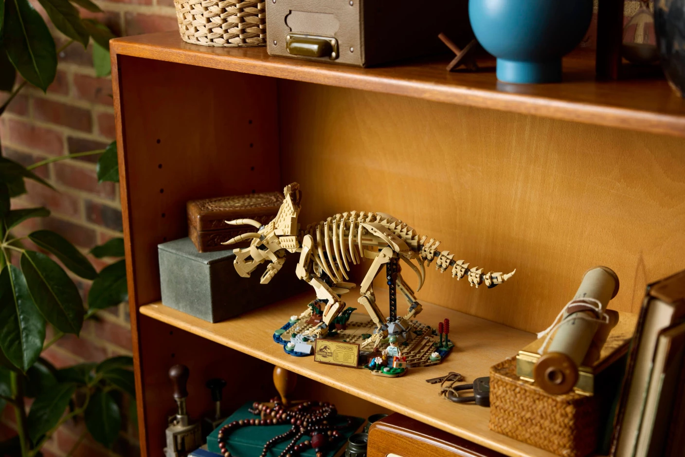 Dinosaurusfossielen: Triceratops