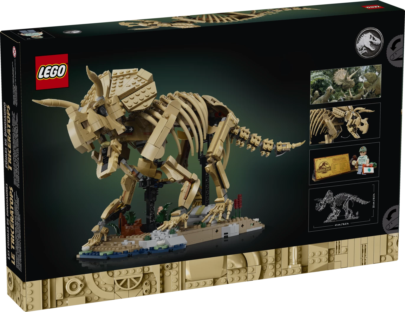 Dinosaurusfossielen: Triceratops