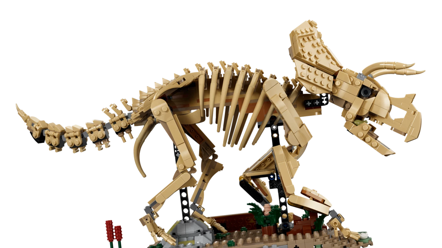 Dinosaurusfossielen: Triceratops