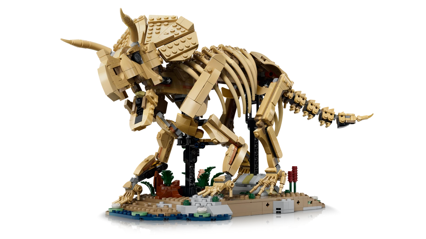 Dinosaurusfossielen: Triceratops