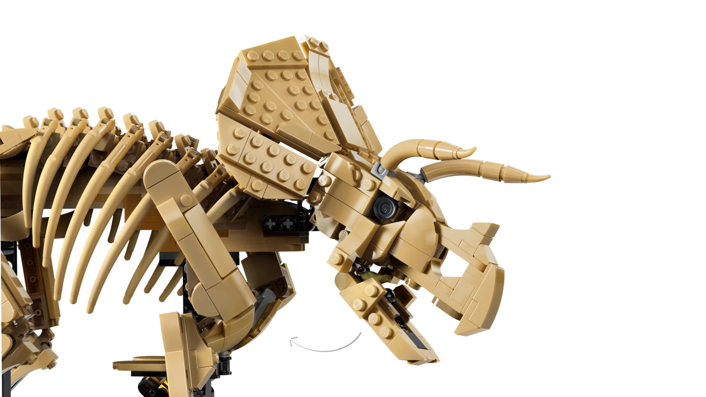 Dinosaurusfossielen: Triceratops