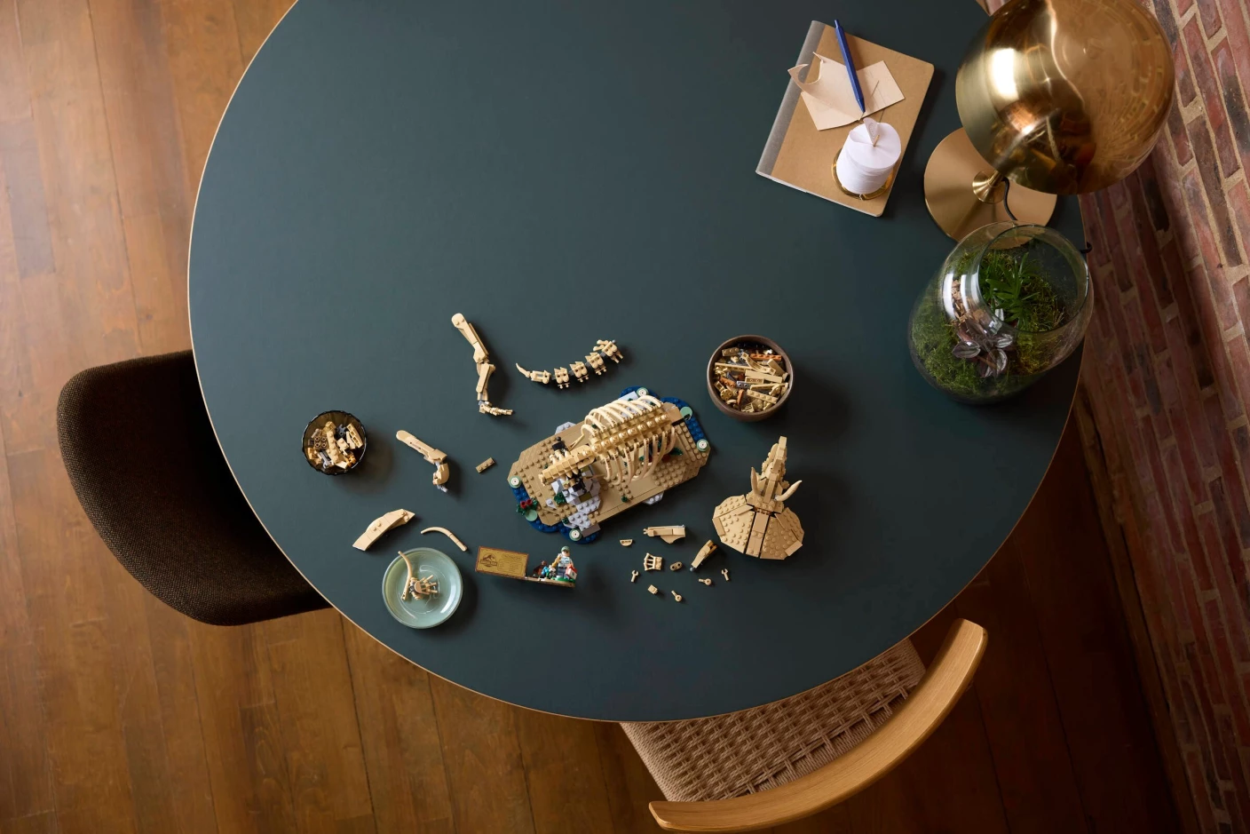 Dinosaurusfossielen: Triceratops