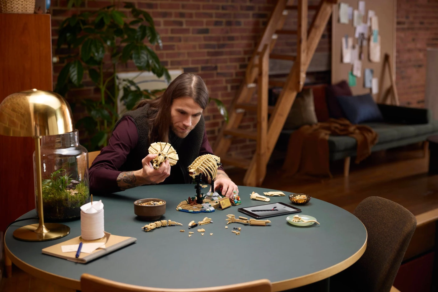 Dinosaurusfossielen: Triceratops