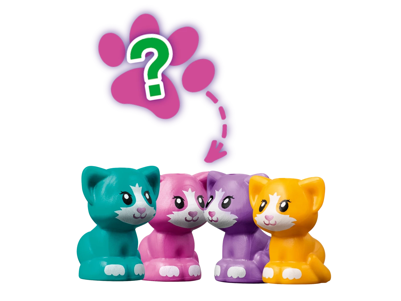 Stephanie‘s kattenkubus