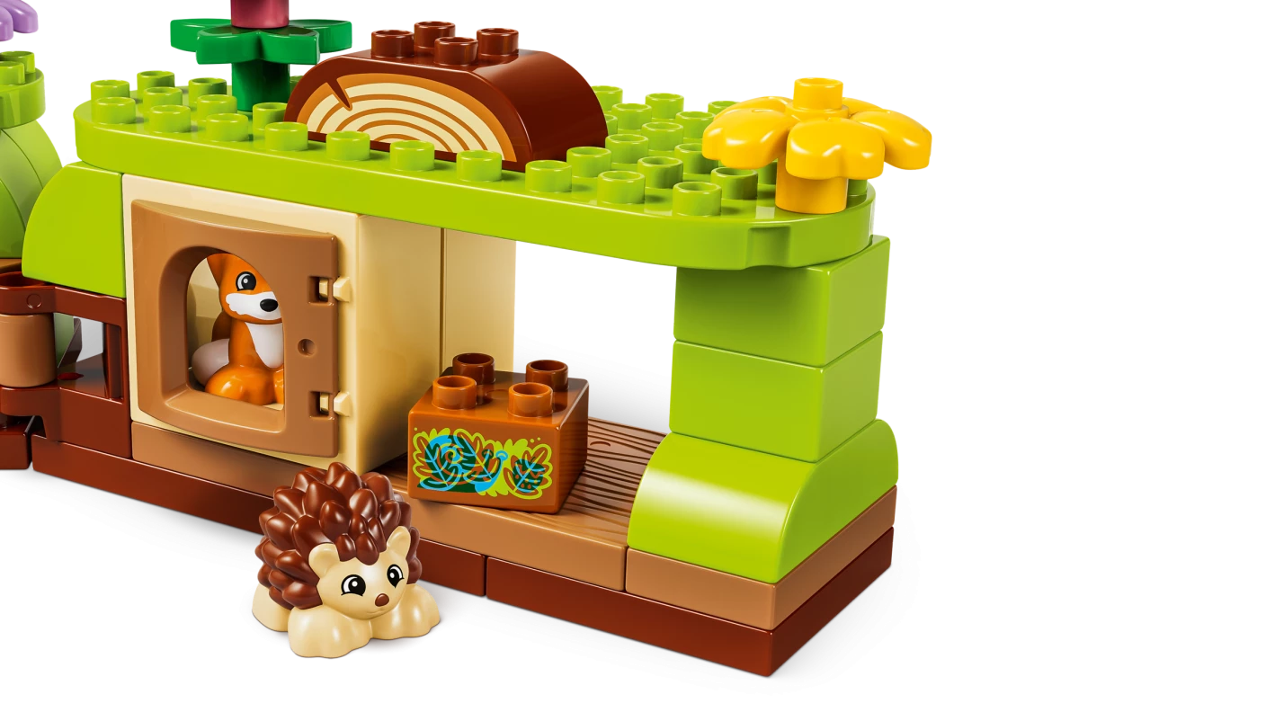 Ontdekkingsbos met wilde dieren