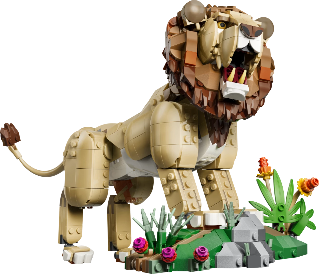Wilde dieren: majestueuze leeuw