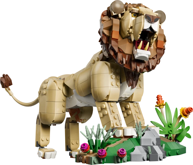 Wilde dieren: majestueuze leeuw