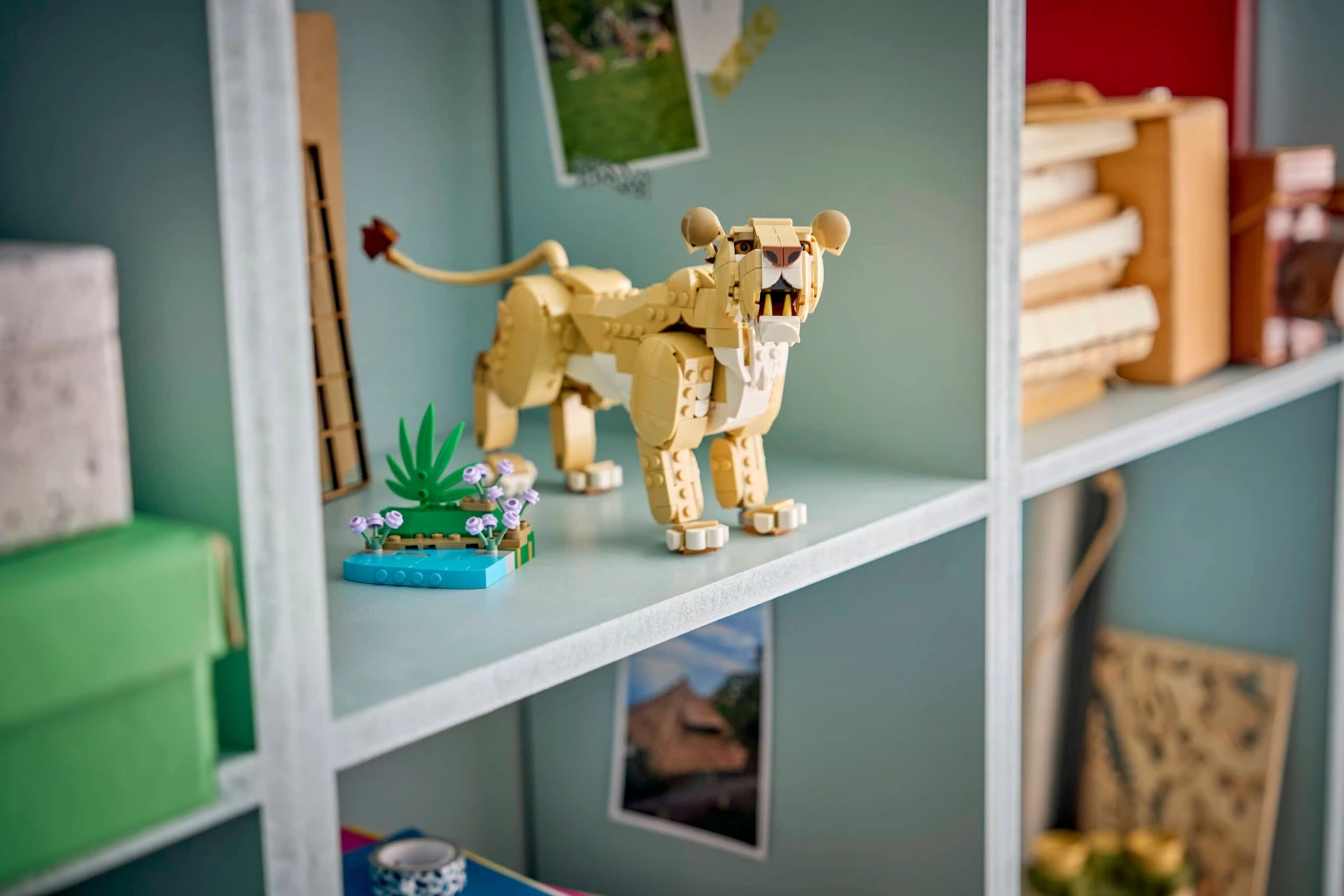 Wilde dieren: majestueuze leeuw