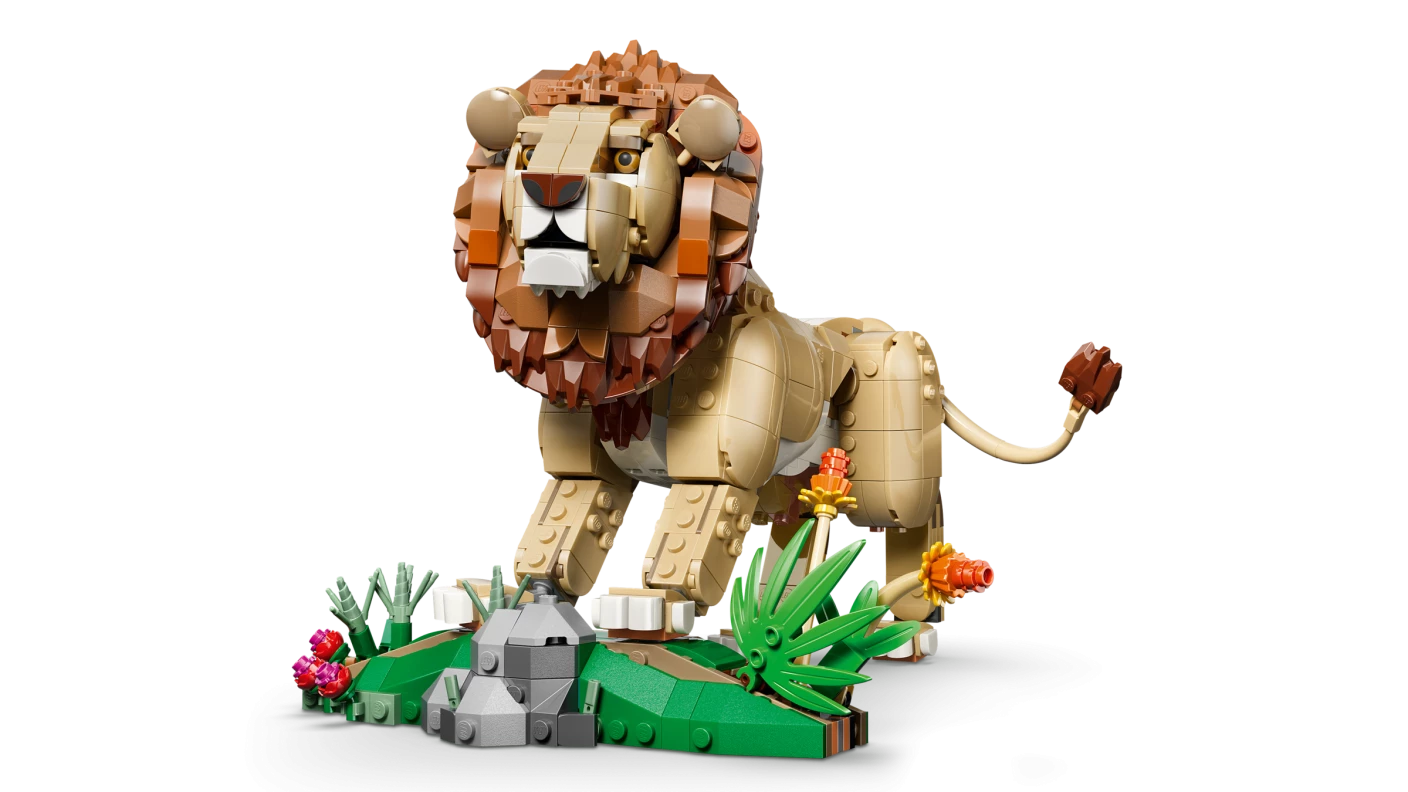 Wilde dieren: majestueuze leeuw