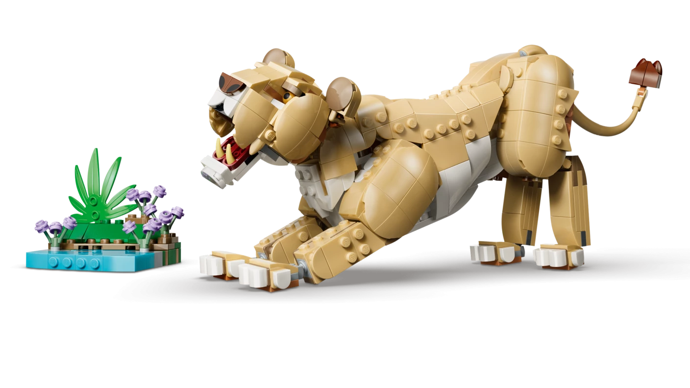 Wilde dieren: majestueuze leeuw