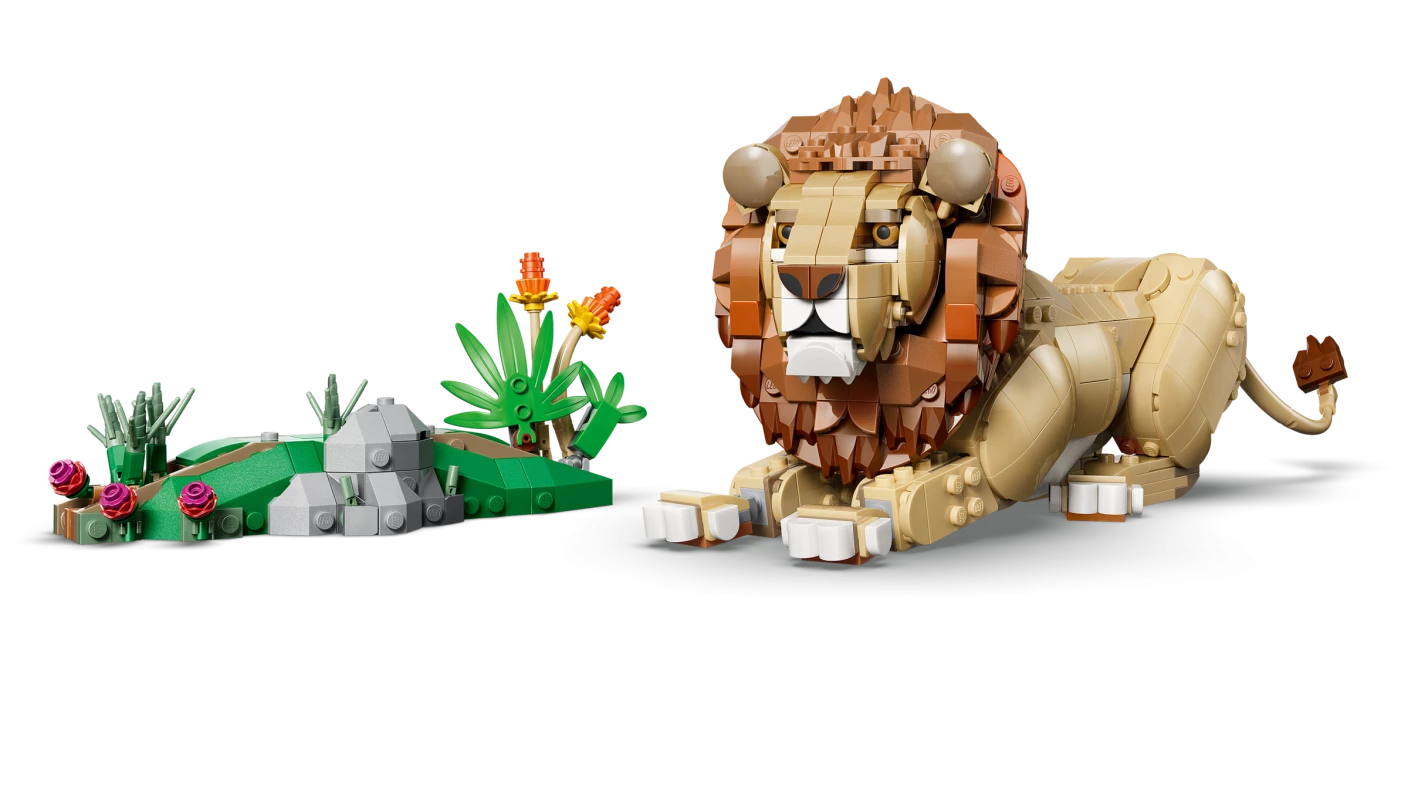 Wilde dieren: majestueuze leeuw